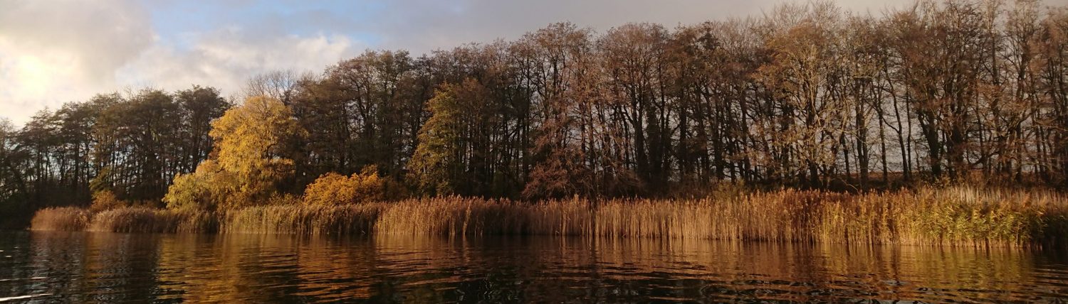 ASV Groß Wittensee