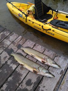 Mit dem Angelkajak auf dem Wittensee